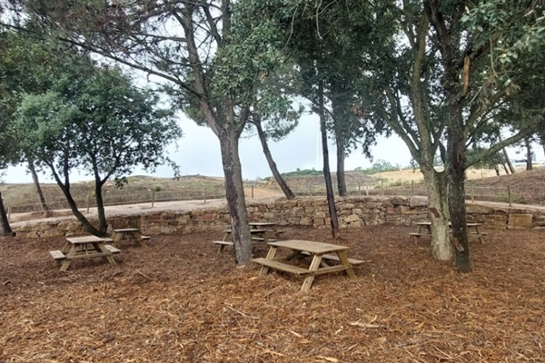 Local - Parque de Merendas do Ecoparque Serra de São Julião - Carvoeira | União de Freguesias de Carvoeira e Carmões| Torres Vedras| Oeste