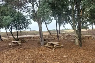 Local - Parque de Merendas do Ecoparque Serra de São Julião - Carvoeira | União de Freguesias de Carvoeira e Carmões| Torres Vedras| Oeste| Portugal