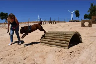 Local - Parque Canino do Ecoparque da Serra de São Julião - Carvoeira | União de Freguesias de Carvoeira e Carmões| Torres Vedras| Oeste| Portugal