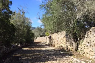 Local -  Centro Explicativo e de Acolhimento da Calçadinha - São Brás de Alportel| São Brás de Alportel| Algarve| Portugal