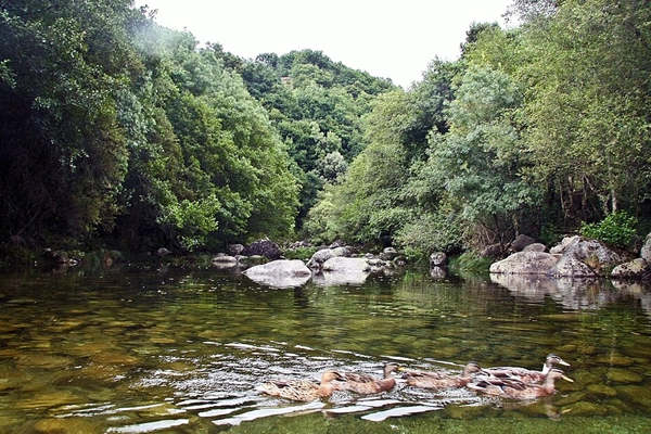 Local - Praia Fluvial de Sistelo - Junta de Freguesia de Sistelo | Municipio Arcos de Valdevez| Arcos de Valdevez| Alto Minho