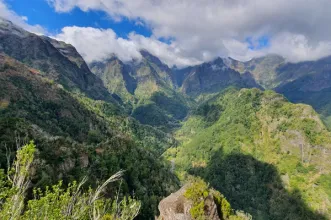 Local - Floresta Laurissilva da Madeira - Junta de Freguesia de São Roque do Faial | Santana| Região Autónoma da Madeira| Portugal