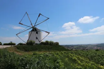 Local - Moinhos De Vento Da Pinhôa - Moita dos Ferreiros | Municipio da Lourinhã | Lourinhã| Oeste| Portugal