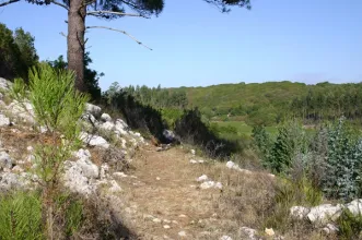 Local - Planalto das Cesaredas - Cesaredas | Municipio da Lourinhã| Lourinhã| Oeste| Portugal