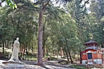 Local - Parque Silva Porto / Mata de Benfica - Benfica| Lisboa| Área Metropolitana de Lisboa