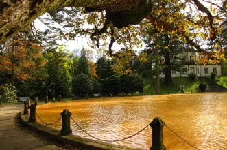 Local - Parque Terra Nostra - Junta de Freguesia das Furnas| Povoação| Região Autónoma dos Açores