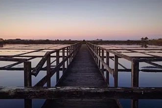 Local - Salinas de Aveiro - Aveiro| Aveiro| Região de Aveiro| Portugal