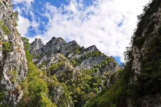 Local - Desfiladeiro de los Beyos - Amieva| Asturias| España