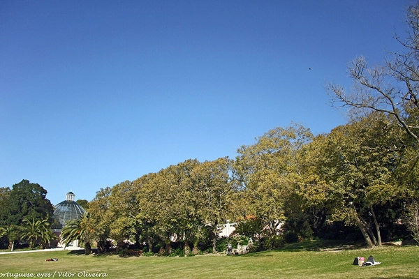 Local - Tapada das Necessidades - Estrela| Lisboa| Área Metropolitana de Lisboa