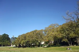 Local - Tapada das Necessidades - Estrela| Lisboa| Área Metropolitana de Lisboa