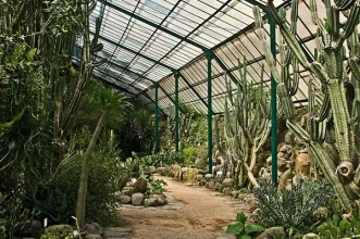 Local - Estufa Fria - Avenidas Novas| Lisboa| Área Metropolitana de Lisboa| Portugal