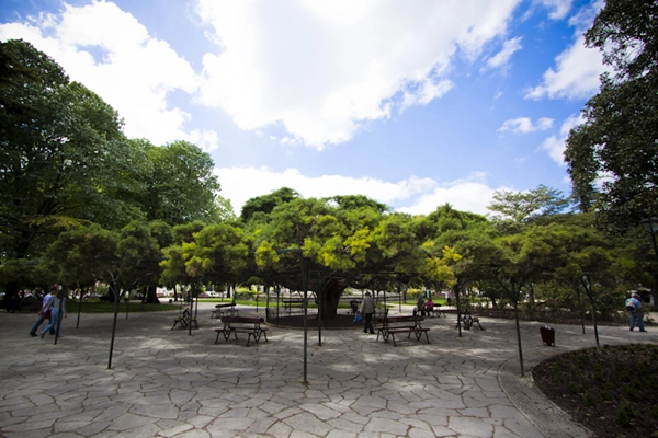 Local - Jardim do Príncipe Real - Misericórdia| Lisboa| Área Metropolitana de Lisboa