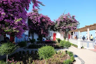 Local - Jardim Júlio de Castilho - Santa Maria Maior| Lisboa| Área Metropolitana de Lisboa| Portugal