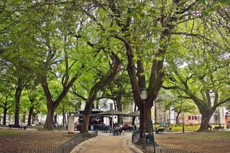 Point of Interest - Jardim das Amoreiras (Jardim Marcelino de Mesquita) - Santo António| Lisboa| Área Metropolitana de Lisboa