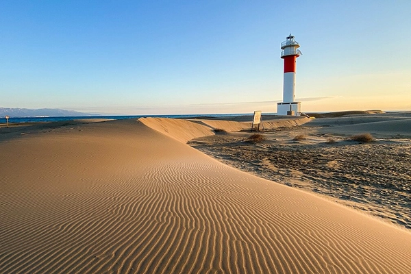 Local - Punta del Fangar - Deltebre| Tarragona