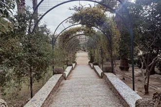 Local - Parque Teodoro González - Tortosa| Tarragona