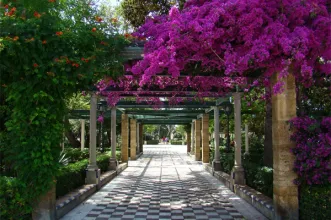 Local - Jardins da Alameda Apodaca - Cádiz| Cádiz| España