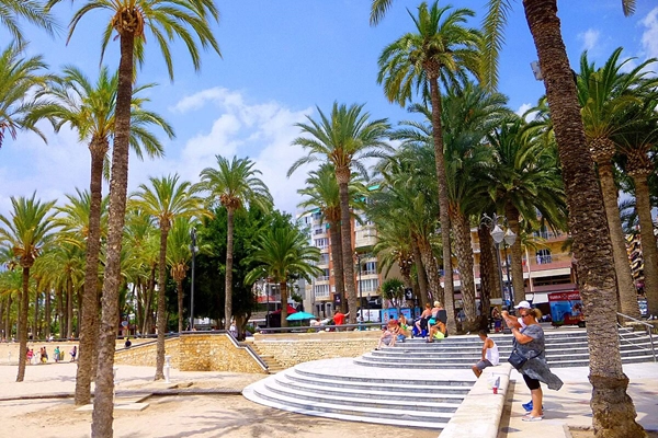 Local - Parque de Elche - Benidorm| Alicante/Alacant