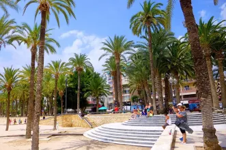 Local - Parque de Elche - Benidorm| Alicante/Alacant