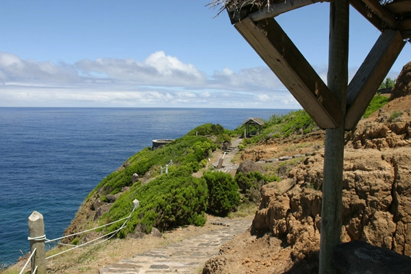 Local - Parque Endémico do Pelado - Lomba da Fazenda| Nordeste| Região Autónoma dos Açores