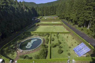 Local - Reserva Florestal de Recreio da Cancela do Cinzeiro -  Caminho Florestal – Pedreira Estrada Regional| Nordeste| Região Autónoma dos Açores| Portugal