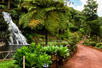 Local - Jardim da Ribeira do Guilherme -  Estrada Regional (entre a Vila do Nordeste e a Lomba da Fazenda)| Nordeste| Região Autónoma dos Açores
