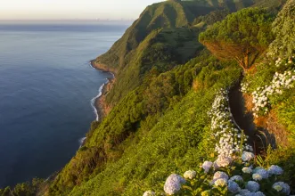 Local - Ponta do Sossego -  Estrada Regional, Pedreira| Nordeste| Região Autónoma dos Açores