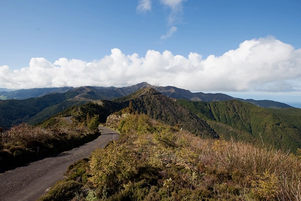Point of Interest - Pico do Bartolomeu -  Estrada Regional, Pedreira| Nordeste| Região Autónoma dos Açores