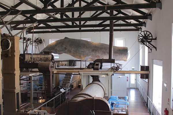 Local - Fábrica da Baleia de Porto Pim  - Horta| Horta| Região Autónoma dos Açores