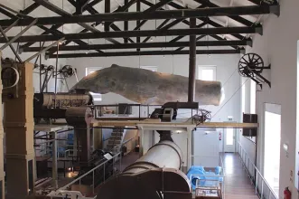 Local - Fábrica da Baleia de Porto Pim  - Horta| Horta| Região Autónoma dos Açores| Portugal