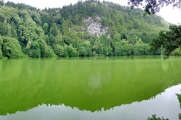 Point d´intérêt - Lagoa do Congro - Água de Pau| Vila Franca do Campo| Região Autónoma dos Açores
