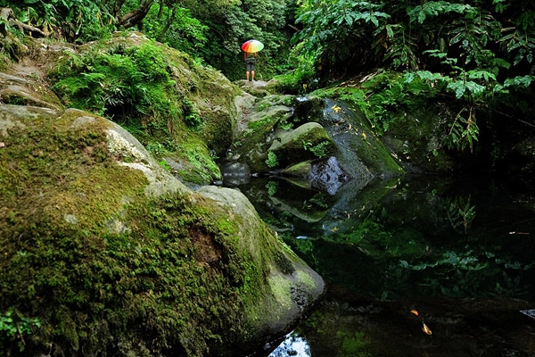 Local - Poço Azul - Achadinha| Nordeste| Região Autónoma dos Açores