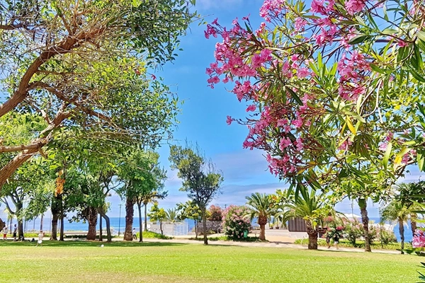Local - Jardins do Lido - São Martinho | JF São Martinho| Funchal| Região Autónoma da Madeira