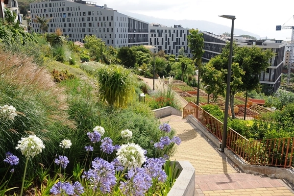 Local - Jardim de São Martinho  - São Martinho | JF São Martinho| Funchal| Região Autónoma da Madeira