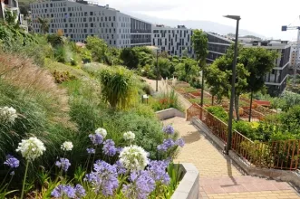 Local - Jardim de São Martinho  - São Martinho | JF São Martinho| Funchal| Região Autónoma da Madeira