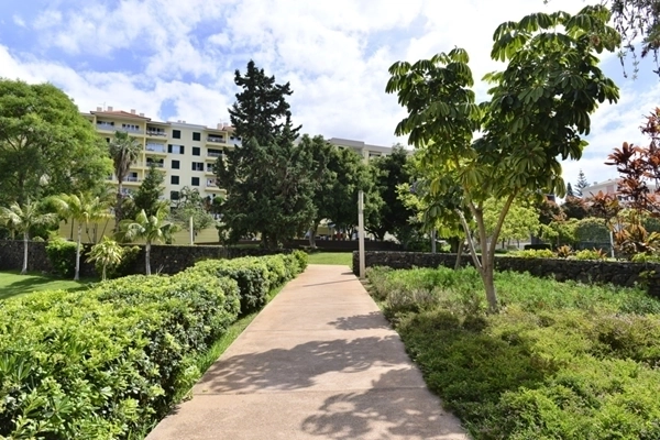 Local - Jardim da Ajuda - São Martinho | JF São Martinho| Funchal| Região Autónoma da Madeira