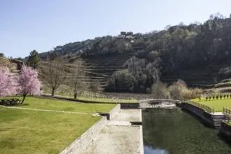 Local - Praia Fluvial de Fornelos  -  União de Freguesias de Louredo e Fornelos | Santa Marta de Penaguião| Douro