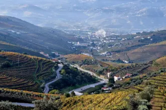 Local - Miradouro D'Ouro Vivo  - Santa Marta de Penaguião   | Santa Marta de Penaguião| Douro