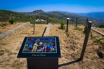 Local - Miradouro D'Ouro Vivo  - Santa Marta de Penaguião   | Santa Marta de Penaguião| Douro