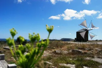 Local - Moinho do Monte da Ovelha - Avelar| Ansião| Região de Leiria