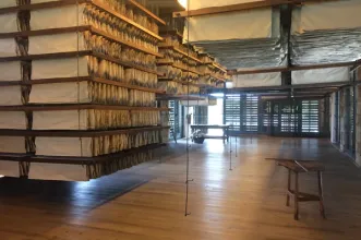 Local - Museu do Papel  - Paços de Brandão| Santa Maria da Feira| Área Metropolitana do Porto