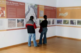 Local -  Centro Explicativo e de Acolhimento da Calçadinha - São Brás de Alportel| São Brás de Alportel| Algarve