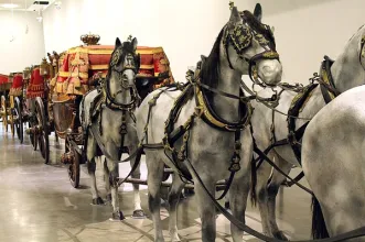 Local - Museu Nacional dos Coches - Belém | Lisboa| Área Metropolitana de Lisboa