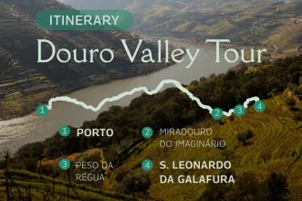 Local - Go Tours - Espinho, Aveiro| Espinho| Área Metropolitana do Porto