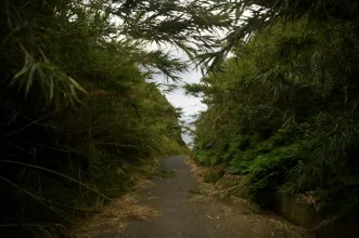 Local - Porto de Santa Iria  - Junta de Freguesia de Ribeirinha | Ribeira Grande | Ribeira Grande| Região Autónoma dos Açores