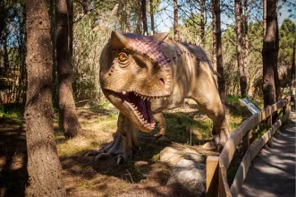 Local - Dino Parque da Lourinhã - Lourinhã| Lourinhã| Oeste