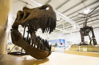 Local - Dino Parque da Lourinhã - Lourinhã| Lourinhã| Oeste
