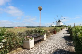 Local - Moinhos De Vento Da Pinhôa - Moita dos Ferreiros | Municipio da Lourinhã | Lourinhã| Oeste