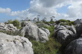 Local - Planalto das Cesaredas - Cesaredas | Municipio da Lourinhã| Lourinhã| Oeste