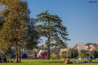 Local - Parque da Alta Vila - Águeda| Águeda| Região de Aveiro